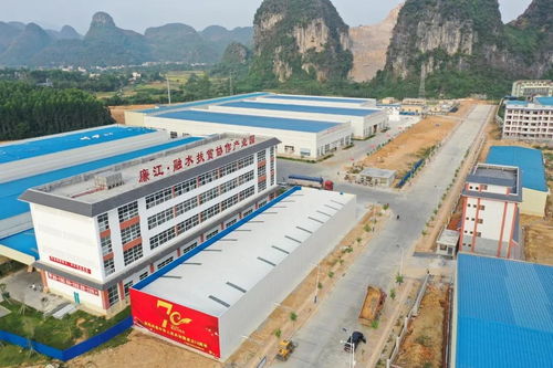 不看不知道 湛柳 聯(lián)姻 這三年,啥啥都不一樣了