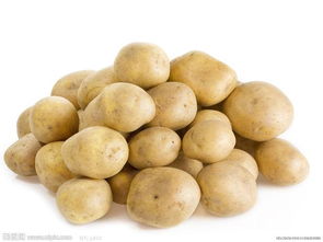 土豆 農(nóng)副產(chǎn)品 費(fèi)縣明群農(nóng)副產(chǎn)品果樹(shù)苗木調(diào)撥基地